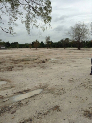 ขายที่ดินติดถนนถมเรียบร้อยแล้ว ไร่ละ 5500000