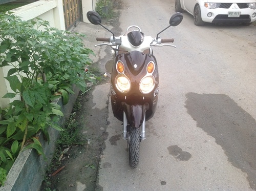 ขายsuzuki jelatoสี น้ำตาล ขายsuzuki jelatoสี น้ำตาล