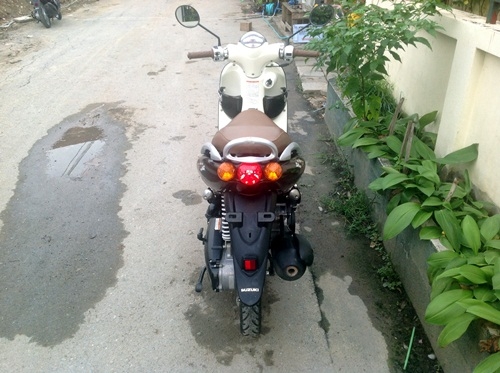 ขายsuzuki jelatoสี น้ำตาล ขายsuzuki jelatoสี น้ำตาล
