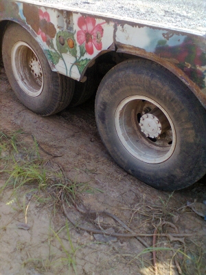 สิบล้อเตี้ย(หกล้อแปลงเป็นสิบล้อ)เครื่องJO7Cพร้อมขึ้นรถเกื่ยวสนใจติตต่อ0847823249