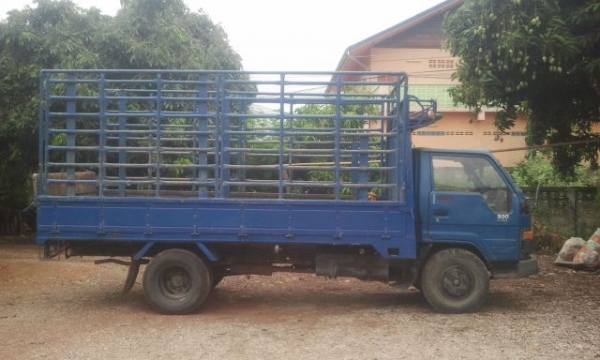 ขายรถ6ล้อกลาง โตโยต้า ไดน่า300 ปี33 ลดราคาเหลือ260000