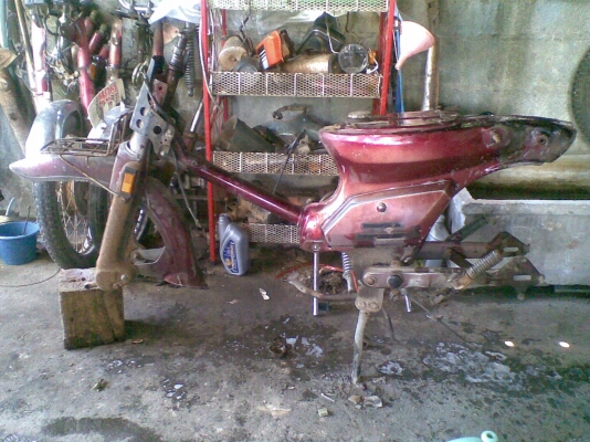 คาร์บูคัลต้อม แท้ ดี   พร้อมส่ง -  นัดเชียงใหม่