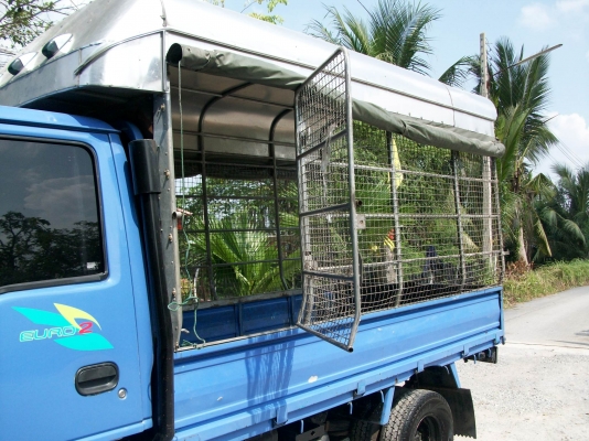 มาอีกแล้วครับ 6ล้อเล็ก ป้ายไม่ติดเวลา จากเดิม355000ลดกันไปเลย330000วันนี้เท่านั้นครับ