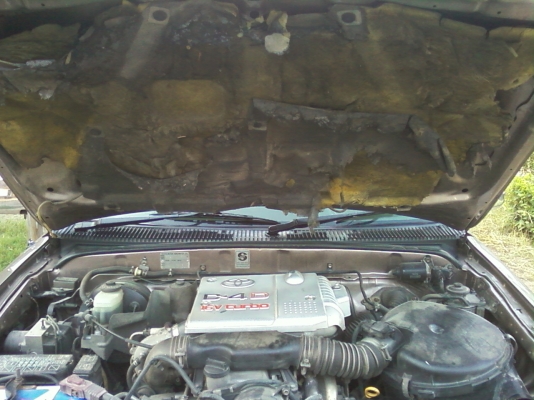 ไทเกอร์ แคป ดีโฟร์ดี ตัวท๊อปอยู่สารคาม ไทเกอร์ แคป ดีโฟร์ดี ตัวท๊อปอยู่สารคาม