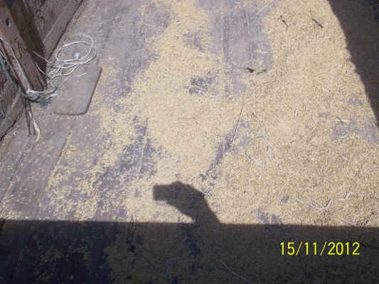 ขาย4ล้อ   tl  เครื่อง  85  แรงม้า  ราคา  139000  บาท