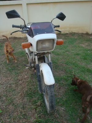 ขาย yamaha rxs115 ขาย yamaha rxs115