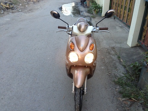 ขายjelato สีน้ำตาลปี2555 ขายjelato สีน้ำตาลปี2555