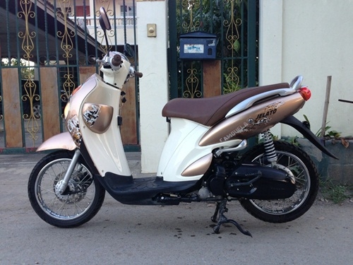 ขายjelato สีน้ำตาลปี2555