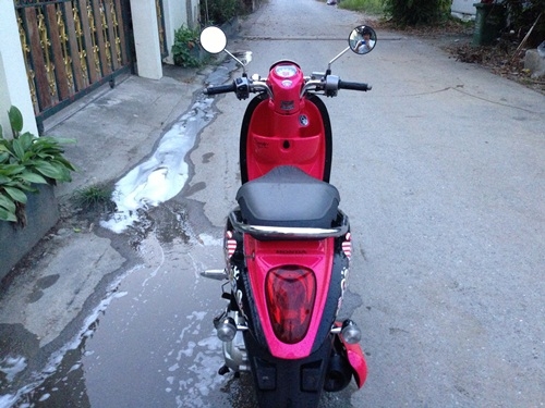 ขายscoopyสีชมพูดำปี54ราคา27900 ขายscoopyสีชมพูดำปี54ราคา27900