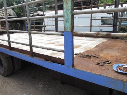 ขาย NPR ยาว 5 เมตรเครื่อง110แรง สภาพสวย ขาย NPR ยาว 5 เมตรเครื่อง110แรง สภาพสวย