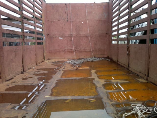 รถอิิซูซุ 10 ล้อ รั่ว 185 แรงม้า  สนใจติดต่อ 081 - 6079515