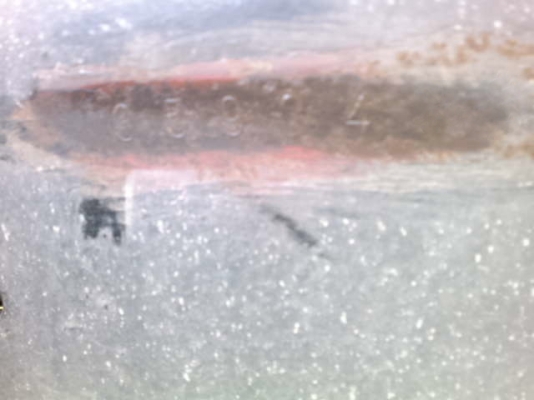 รถอิิซูซุ 10 ล้อ รั่ว 185 แรงม้า  สนใจติดต่อ 081 - 6079515