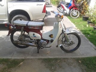 ขาย honda c70 เครื่องดรีม มีเล่ม ขาย honda c70 เครื่องดรีม มีเล่ม