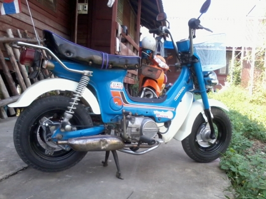 ขายชาลี เครื่องดรีม ปัดเงา เดิมๆน่ารัก