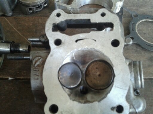 มาแล้วสำหลับเด็กแว๊นเสื้อฝาโซนิกชุดบอส วาว์วีออส มาแล้วสำหลับเด็กแว๊นเสื้อฝาโซนิกชุดบอส วาว์วีออส