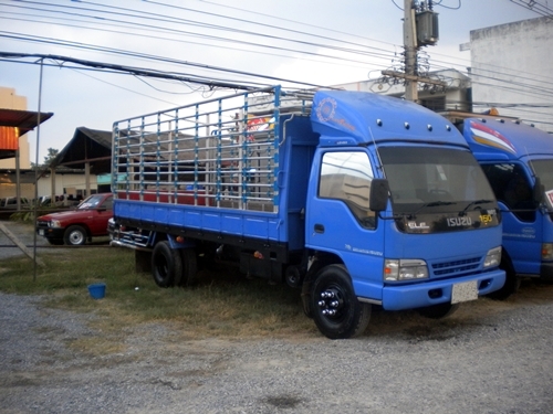 ขาย NQR 150 ปลายปี 47 โฉม EURO 2 กระบะ5.50 ขาย NQR 150 ปลายปี 47 โฉม EURO 2 กระบะ5.50
