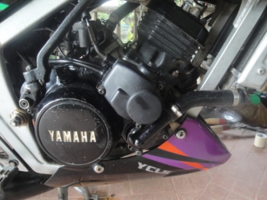 ขอขายขาดทุนครับ