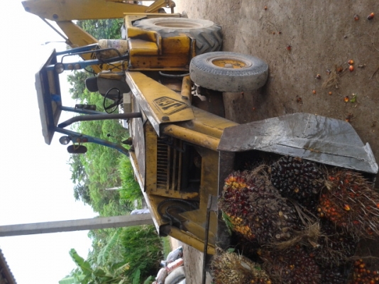 ขาย JCB  พร้อมใช้งาน