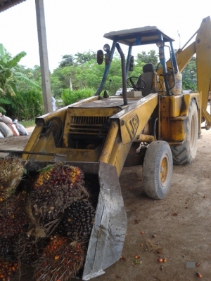 ขาย JCB  พร้อมใช้งาน