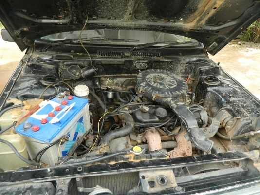 มินิออตติก ถูก