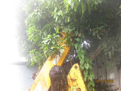 ขายเครน Tadano Super Z305 ขนาด 3 ตัน 5 ปลอก สภาพดี โทร 088-4501277 ขายเครน Tadano Super Z305 ขนาด 3 ตัน 5 ปลอก สภาพดี โทร 088-4501277