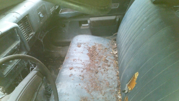 ขายรถยนต์ ประกาศวันนี้