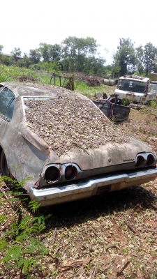 ขายรถยนต์ ประกาศวันนี้