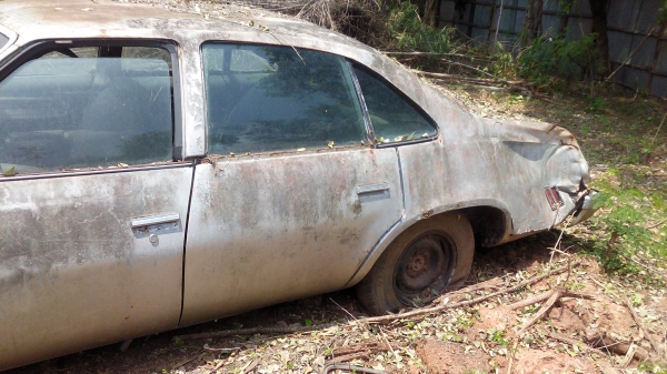 ขายรถยนต์ ประกาศวันนี้