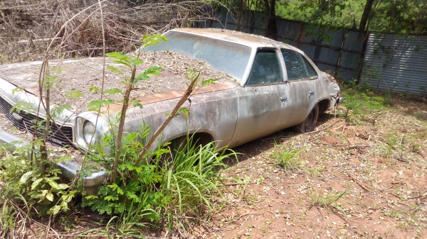 ขายรถยนต์ ประกาศวันนี้