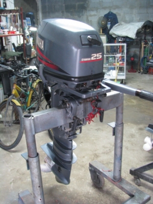 25 แรง หางยาวสวยๆ