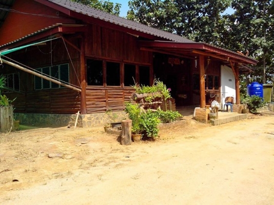 ขายที่ดินปลูกต้นสักทอง 10 ปี ทองผาภูมิ กาญจนบุรี