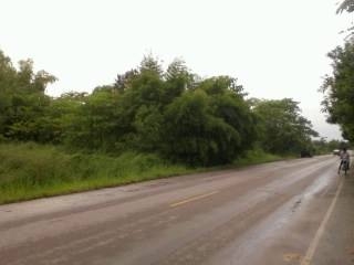 ที่ดินว่างปาว 1ไร 3งาน30ตารางวา ติดถนนใหญ่ หน้ากว้าง70เมตรลึก40เมตร