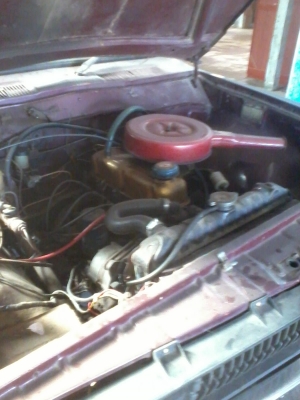 ขายรถดัทสัน 1300 ชีฃี  สภาพเดิม ๆๆ ขายตามสภาพ 25000ไม่ลดแล้วขาดทุนครับ เอาไปเลย  ครับผม