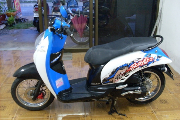 สกูปี้ไอ ปี55 หวัฉีด