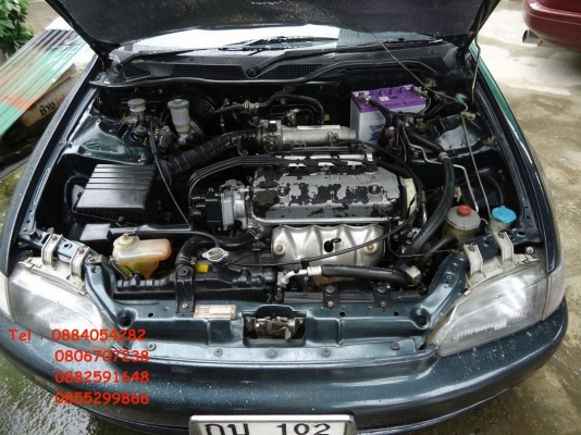 ขาย Honda civic 4d สีเขียวสวย ปี 2537 ราคา 95,000 บาท +++++++++ ขาย Honda civic 4d สีเขียวสวย ปี 2537 ราคา 95,000 บาท +++++++++