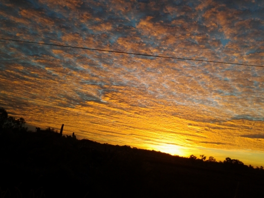 kobelco mark5 -60 รุ่น LEnซีเรียล 18xxx