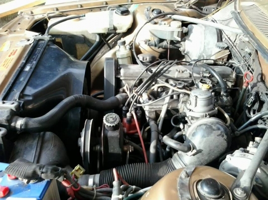 VOLVO 244 GL VOLVO 244 GL