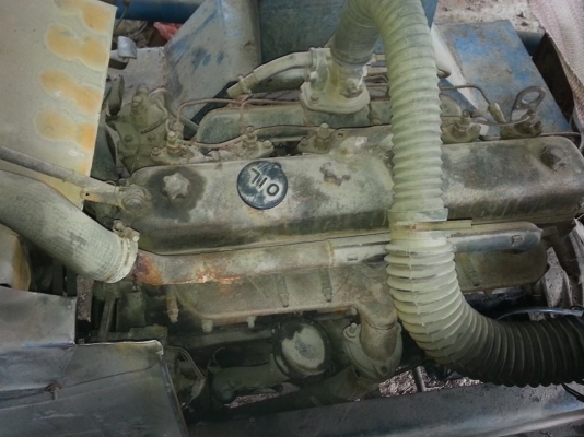 ขาย สีอย่างเดียว