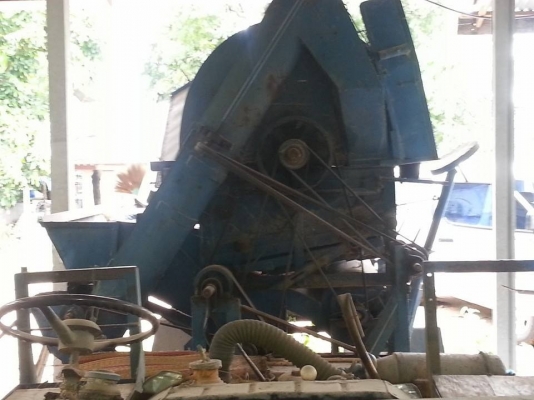 ขาย สีอย่างเดียว