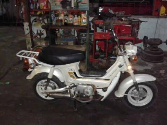 ชาลี บังโคลเหล็ก สไต ยุ่น