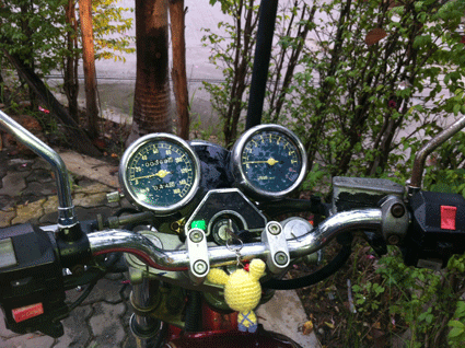 Yamaha SRV 250 รถประกอบใหม่