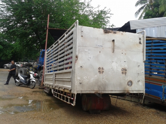 กะบะคอกเหล็ก