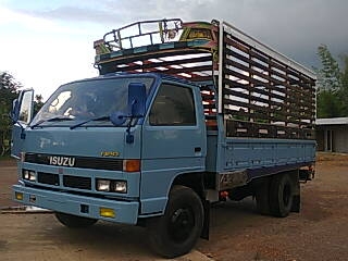 ขายNPR 115แรงม้าF หน้า-หลังอยากซื้อเท่าไรว่ามาครับอยากขาย