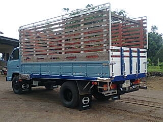 ขายNPR 115แรงม้าF หน้า-หลังอยากซื้อเท่าไรว่ามาครับอยากขาย