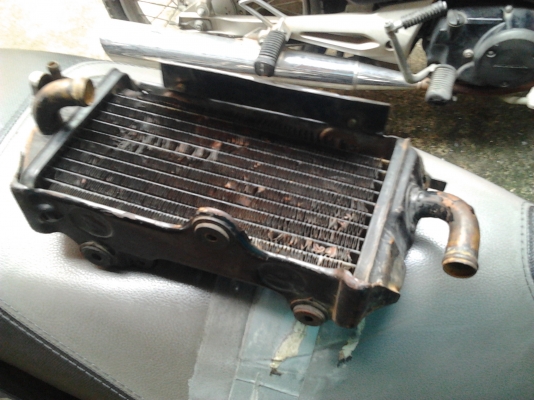 ขาย หม้อน้ำ honda mtx125  :800