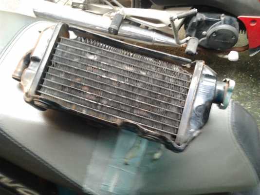 ขาย หม้อน้ำ honda mtx125  :800