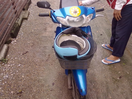 ขายแสมช  3900  บาทครับ  ภาษีขาด51 มีเล่มครับโอนได้