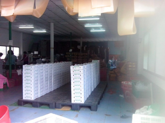 โกดังให้เช่าใจกลางเมือง ทำเลดี ย่านอ่อนนุช จากเจ้าของโดยตรง