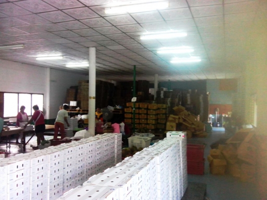 โกดังให้เช่าใจกลางเมือง ทำเลดี ย่านอ่อนนุช จากเจ้าของโดยตรง