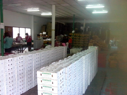 โกดังให้เช่าใจกลางเมือง ทำเลดี ย่านอ่อนนุช จากเจ้าของโดยตรง